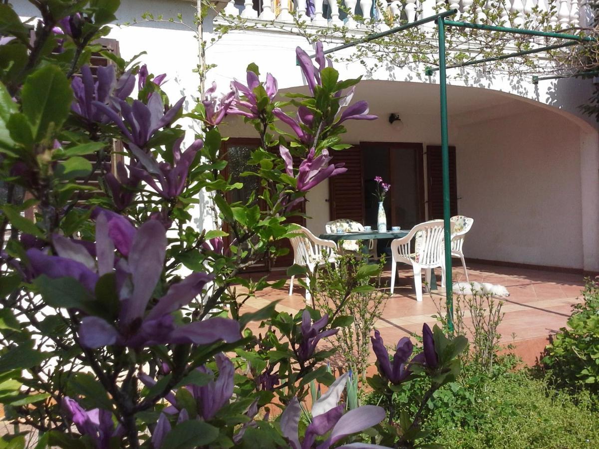 Apartments Tessa 77 Медулин Экстерьер фото